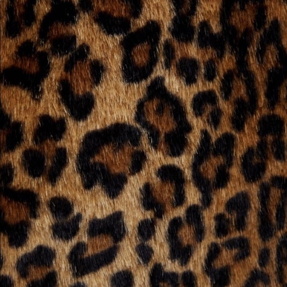 Meet your Posher, Rilee - Picture 1 of 1